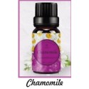 Fragrance Oil Chamomile