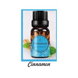 Fragrance Oil Cinnamon