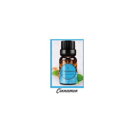 Fragrance Oil Cinnamon