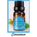 Fragrance Oil Cinnamon