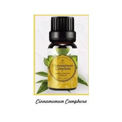 Fragrance Oil Cinnamomum Camphora