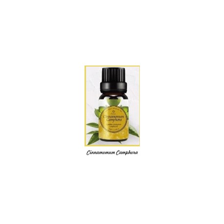 Fragrance Oil Cinnamomum Camphora