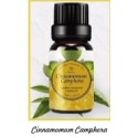Fragrance Oil Cinnamomum Camphora