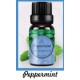 Fragrance Oil Peppermint