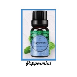 Fragrance Oil Peppermint