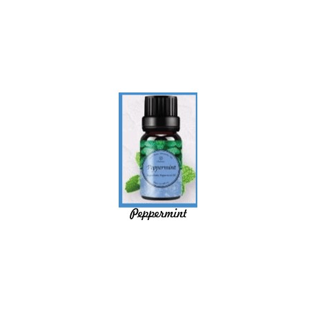 Fragrance Oil Peppermint