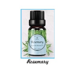 Fragrance Oil Rosemary