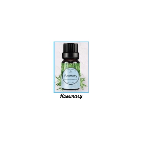 Fragrance Oil Rosemary