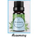 Fragrance Oil Rosemary