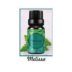Fragrance Oil Melissa