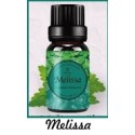 Fragrance Oil Melissa