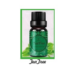 Fragrance Oil TeaTree