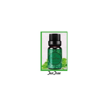 Fragrance Oil TeaTree