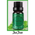 Fragrance Oil TeaTree