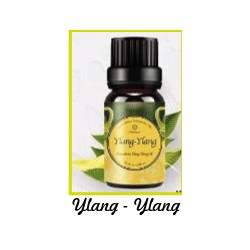 Fragrance Oil Ylang-Ylang