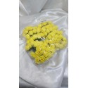 Fleurs Plastique Jaune