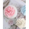 Moule silicone en forme Fleur de girofle